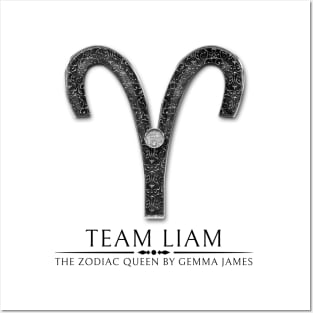 Team Liam Posters and Art